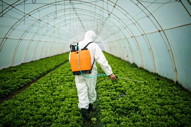 Best Pest Removal Services  in Donaldsonville, LA