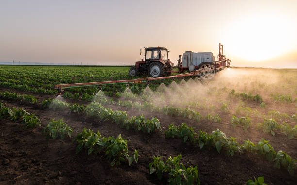 Professional Pest Control in Donaldsonville, LA