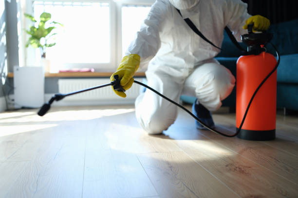 Flea Control Services in Donaldsonville, LA