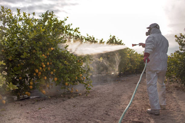 Pest Prevention Services in Donaldsonville, LA
