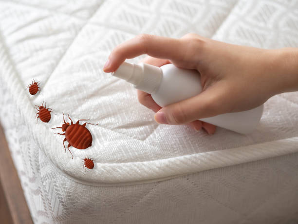 Pest Control for Restaurants in Donaldsonville, LA