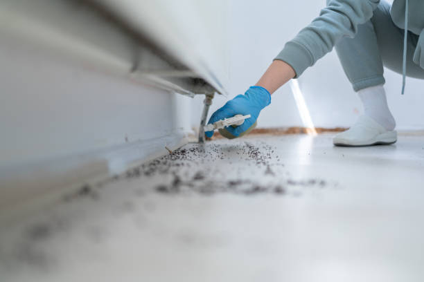 Best Affordable Pest Control Services  in Donaldsonville, LA